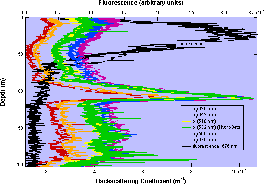 Calculated and Measured Chi Curves