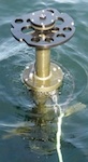 WALRUS hyperspectral radiometer buoy